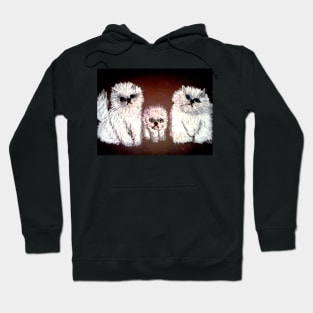 THREE LITTLE KITTENS Hoodie